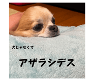 673623569