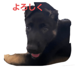 673625334