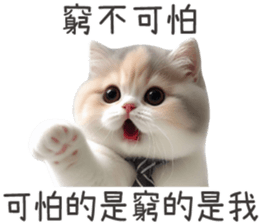 673641884