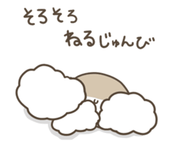 67364620