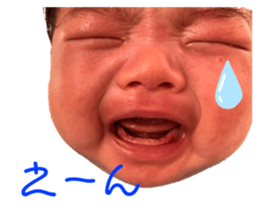 673666003