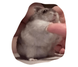 673667664