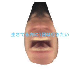 673667990