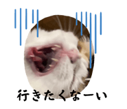 673684953