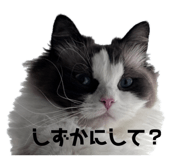 673686302