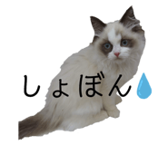 673686303