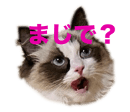 673686305