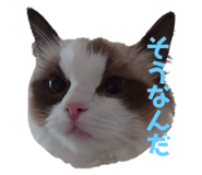 673686307