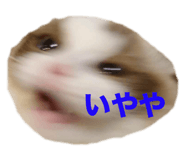 673686308