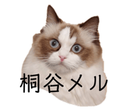 673686312