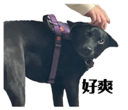 673700609