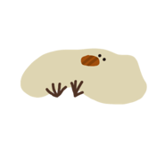 673700643