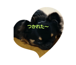 673702820