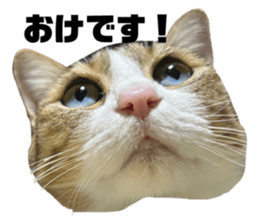 673706646