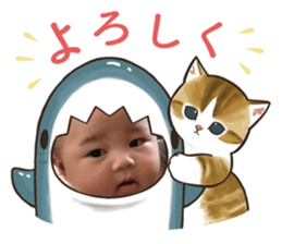 673713538
