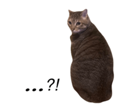 673715955