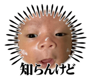 673716525