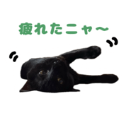 673720841