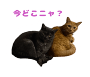 673720842
