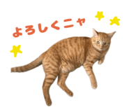 673720843