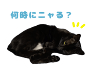 673720845
