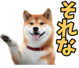 673728112