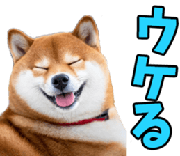 673728123