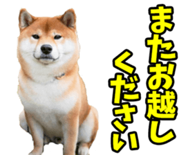 673728124