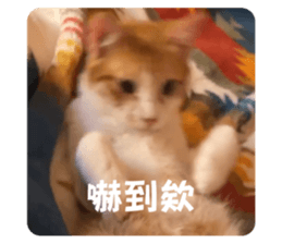 673733516