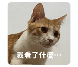 673733522