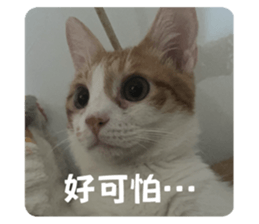 673733547