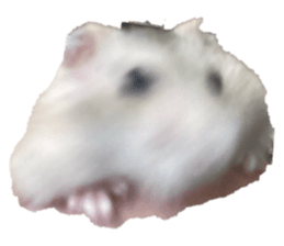 673733825