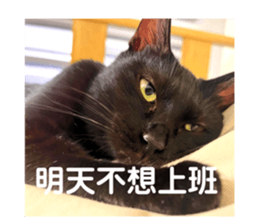 673737868