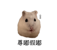 673744015