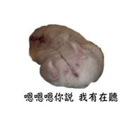 673744019