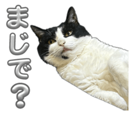 673904059