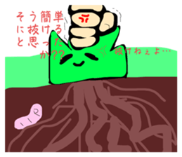 673906683