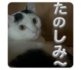 673915061
