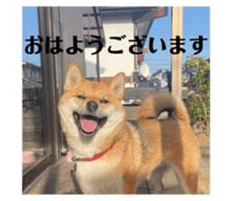 673970441