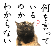 673971053