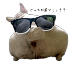 673977817
