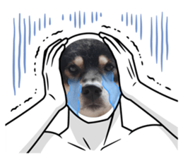 673983083