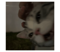 673993901