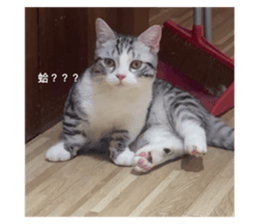673993905