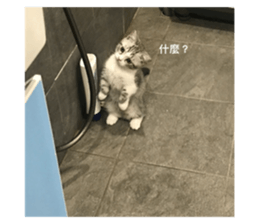 673993909