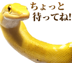 674047551