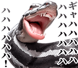 674047555