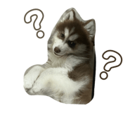 674064345