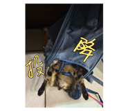 674097366