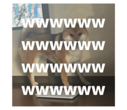 674114949